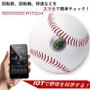 エスエスケイ（SSK） ナイガイ テクニカルピッチ TECHNICAL PITCH 軟式