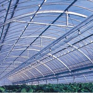 花野果 蒼天 幅1300cm 選べる長さ POフィルム 透明 農業用 ビニール