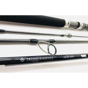 TRANSCENDENCE（トランスセンデンス） Empinado91S+Rev2｜エンピナード