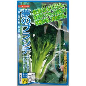 SK9-099 ブロッコリー種子 ペレット5000粒 【野菜種子】【サカタのタネ