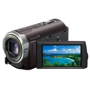 ソニー SONY デジタルビデオカメラ Handycam HDR-CX370V : ワットマン