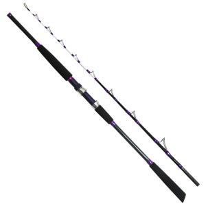 ダイワ(DAIWA) 船竿 ネライX H-180 釣り竿 : Naturally Market - 通販