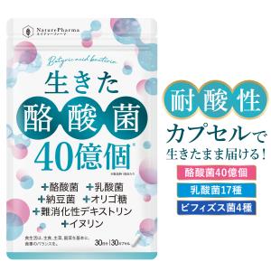 VitabridC ビタブリッド ターミナリアファースト プロフェッショナル4