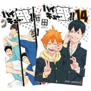 ハイキュー!!（全45巻セット）[9,15,21,27,42巻は限定版] : マンガ屋