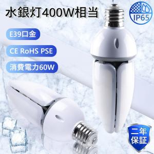 Panasonic（パナソニック） 蛍光水銀灯（水銀ランプ） 一般形 40W