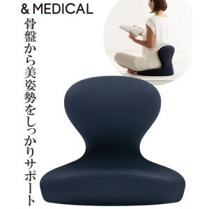 ＆MEDICAL（アンドメディカル） KURA SEAT HB(クラシート ハイバック