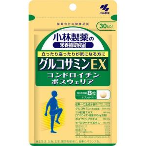 栃本天海堂 文火楽々〔漢方煎じ器〕（とろびらんらん） EK-SA10 1台
