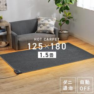 Panasonic（パナソニック） 着せ替えカーペット セットタイプ【DC