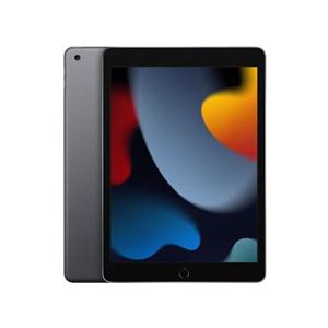 iPad 10.2インチ 第9世代 Wi-Fi 256GB 2021年秋モデル MK2P3J/A