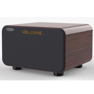 カラオケ スピーカー TO-PLAN サウンドプロ Bluetooth搭載 アンプ内蔵