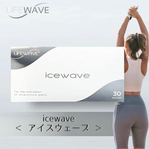 ライフウェーブ X39 パッチシール 30枚 説明書あり : セラフィーネット