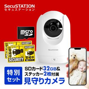 デジタル2.4GHz帯無線カメラセット AT-2400WCS キャロットシステムズ