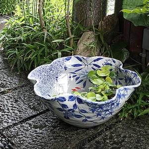 浮彫魚缶 洋蓮 青 (大) 14号鉢 火鉢 めだか アンティーク 水鉢 陶器