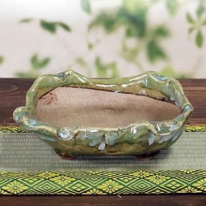 山野草鉢 信楽焼 手づくり 山草鉢 鉢 山草 コケ玉 手作り 植木鉢 陶器