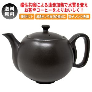 磁性鍋 鍋 電子レンジ 電子レンジ専用調理器 両手鍋 Mサイズ 鍋セット