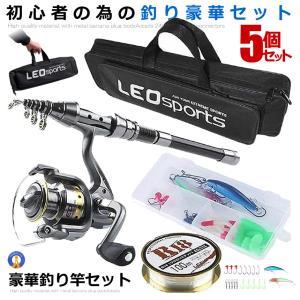 釣りセット 釣り道具 初心者 5点セット ロッド 収納バッグ ルアー
