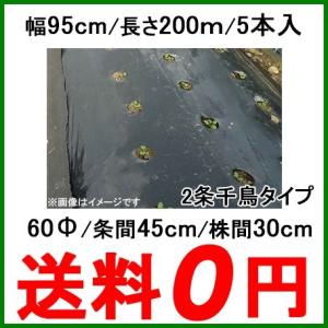国産 穴あきマルチ 黒マルチ 有孔マルチ 幅95cm 長さ200m 株間350mm 孔