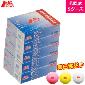 LUCENT（ルーセント） ソフトテニス用品 アカエムボールカゴポーター