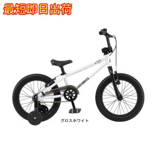 ARESBIKES（アーレスバイク） (西濃支店止め送料無料) ARESBIKES STN