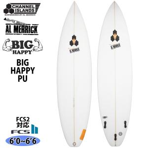 アルメリック 2023年製 SPEED QUONG ファンボード Channel Islands