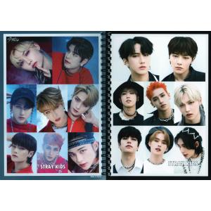 STRAY KIDS スキズ Lee Know リノ グッズ ポストカード セット ( 12枚