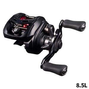 DAIWA（ダイワ） 16 スティーズ SV-TW 1016SV-SHL /ベイトリール