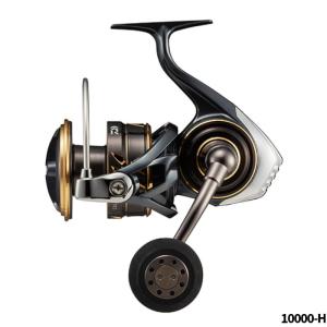 DAIWA（ダイワ） スピニングリール BG SW 14000-H 23年モデル : 釣具の