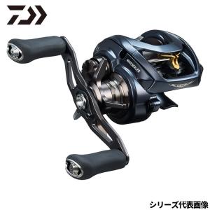 DAIWA（ダイワ） STEEZ (スティーズ) A II TW 1000 (右ハンドル) 2023