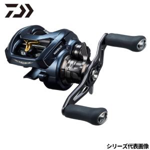 ダイワ スティーズ A2 TW 1000HL / DAIWA STEEZ A II : 大門釣具