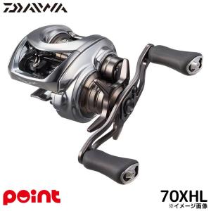 DAIWA（ダイワ） 決算セール 24 スティーズ SV TW 100XHL 送料無料
