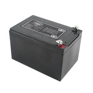 Hapyson HAPYSONハピソン 中・小型電動リール用充電式 YQ-118 12Ah