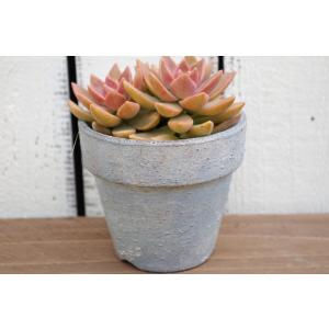 ハンドメイド 多肉植物寄せ植えに リメイク缶S-02 ブルーグレー