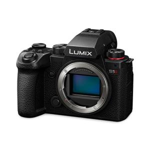 Panasonic（パナソニック） ルミックス FZ85D デジタルカメラ LUMIX DC