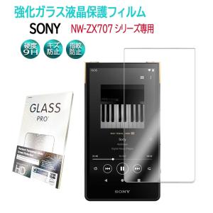 SONYウォークマン NW-ZX707対応 キャリングケース/ファスナー 専用