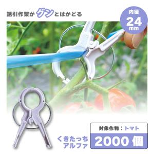 200個 くきたっちアルファ パープル KA-P200 細紐用 紐誘引クリップ