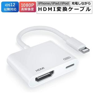 Switch2 ドック HDMI 変換アダプタ iPhone TYPE-C lightning 17 16 15
