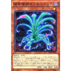 抹殺の指名者[高価N]/新16-1魔 遊戯王 : トレカショップ竜のしっぽ