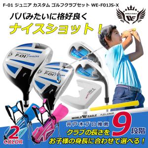 IGNIO（イグニオ） クラブセット お手軽セットジュニア 6〜8才用 身長