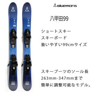 ライオット スキー RIOT SKIS INCEPTION : MSP NET SHOP - 通販