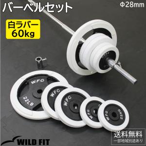 WILD FIT（ワイルドフィット） New 黒ラバー プレート 10kg (2枚
