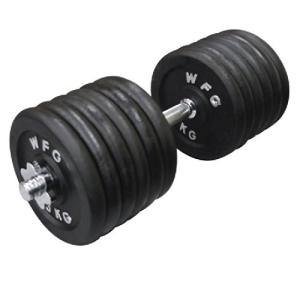 WILD FIT（ワイルドフィット） ダンベルセット 20kg アイアン / 筋トレ