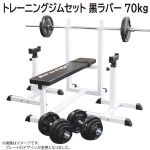 WILD FIT（ワイルドフィット） トレーニングジムセット 黒ラバー 100kg