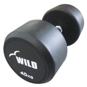 WILD FIT（ワイルドフィット） 固定式 ダンベル 8kg WF / ジムダンベル