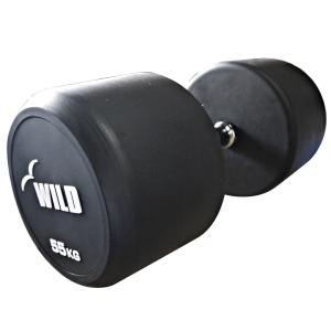 WILD FIT（ワイルドフィット） 固定式 ダンベル 60kg WF / 代金引換