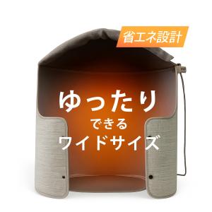 Airdog 【新品/未開封】Airdog X3s 交換フィルター セット プレ