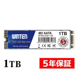 WINTEN WTMSATA-SSD-1TB [mSATA 1TB] 内蔵型SSD - 最安値・価格比較