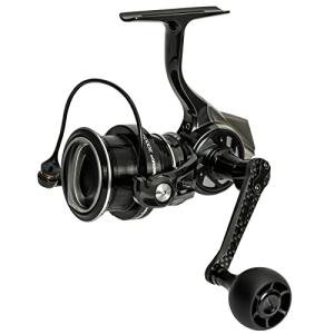 Abu Garcia（アブガルシア） 決算セール ロキサーニ 3000MSH 送料無料