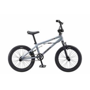 2022年モデル 入学祝い キッズ BMX ARESBIKES アーレスバイク STN