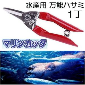 FIAMMA（フィアマ） 日本正規品 FIAMMA 98683-059 TURBO-KIT（ターボ