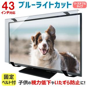 液晶テレビ保護パネル クリアパネルベルト付 43型 43インチ 液晶テレビ